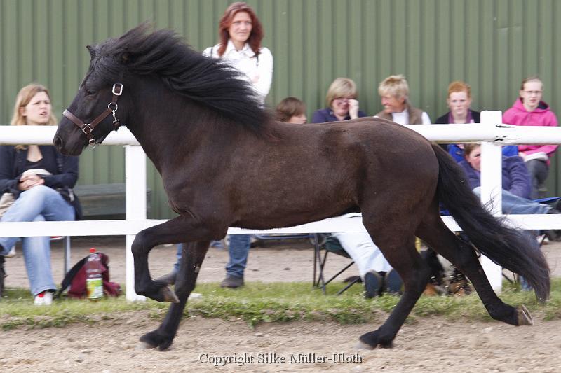 Noah von Heidmoor (7).JPG